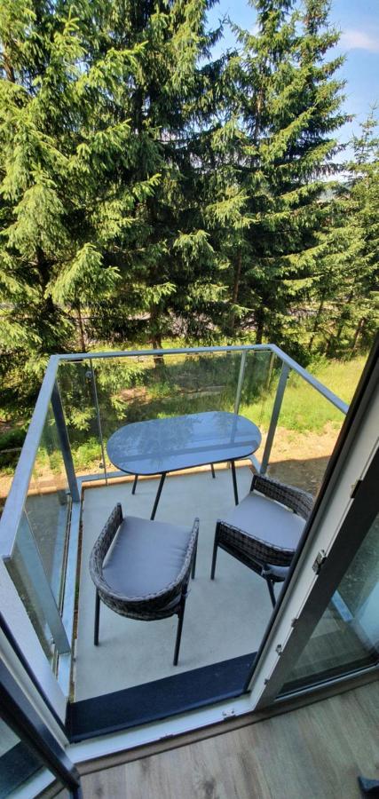 Apartmán Nerudovka D 104, Finská sauna, garážové stání Loučná pod Klínovcem Extérieur photo